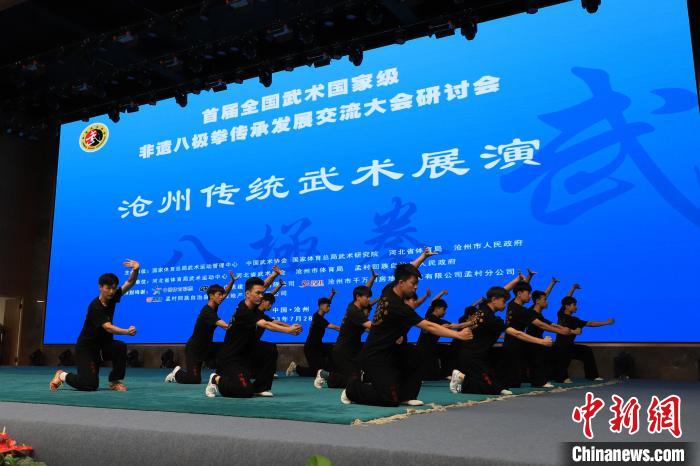 河北沧州孟村召开首届国家级非遗八极拳传承发